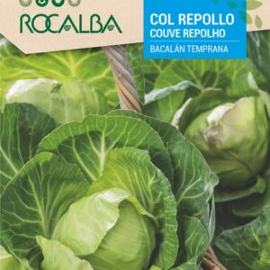 Col Repollo Bacalán Temprana