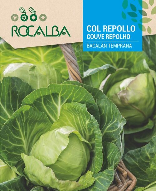 Col Repollo Bacalán Temprana