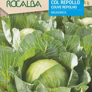 Col Repollo Brunswick