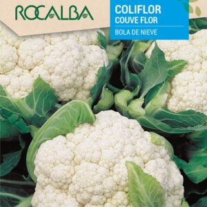 Coliflor Bola De Nieve