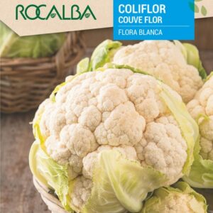 Coliflor Flora Blanca
