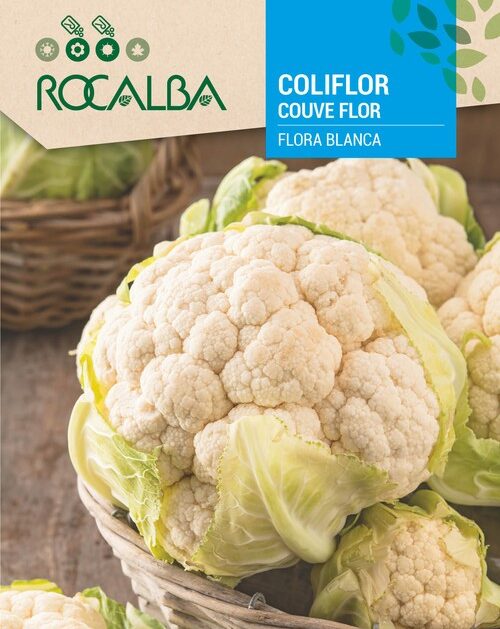 Coliflor Flora Blanca