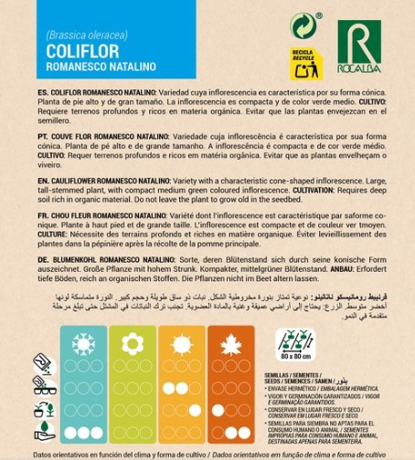 Coliflor Romanesco Natalino - Imagen 2