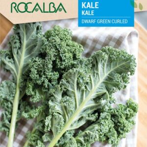 Kale Dwarf Green Curled