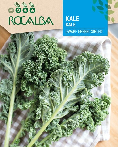 Kale Dwarf Green Curled
